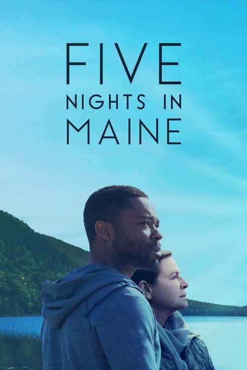 Five Nights in Maine afişi