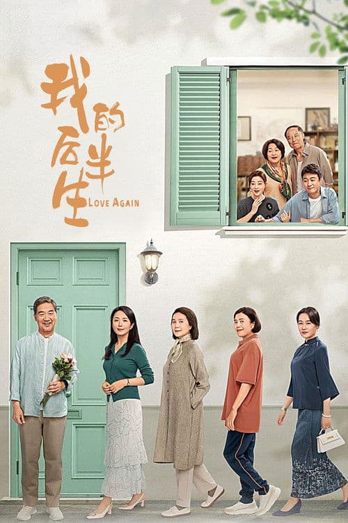 我的后半生 afişi