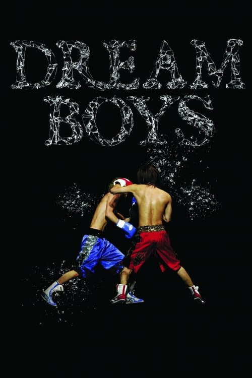 DREAM BOYS afişi