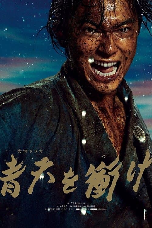 青天を衝け afişi