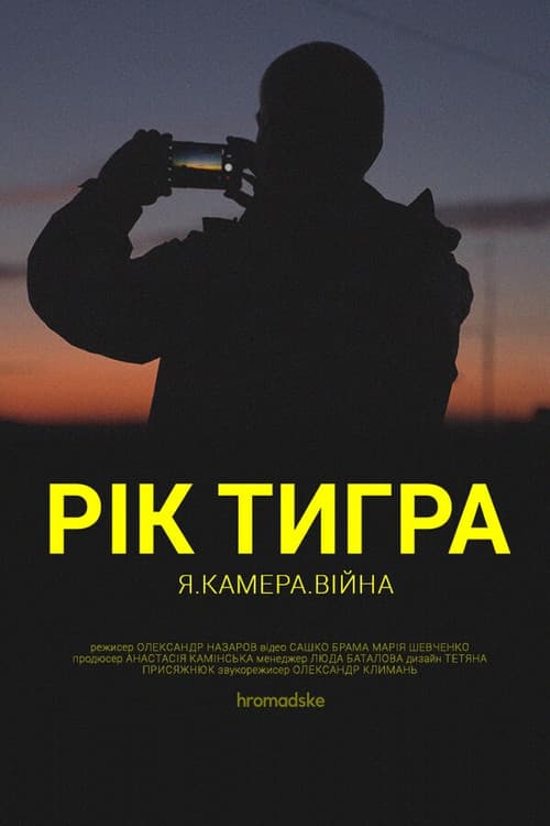 Рік Тигра afişi