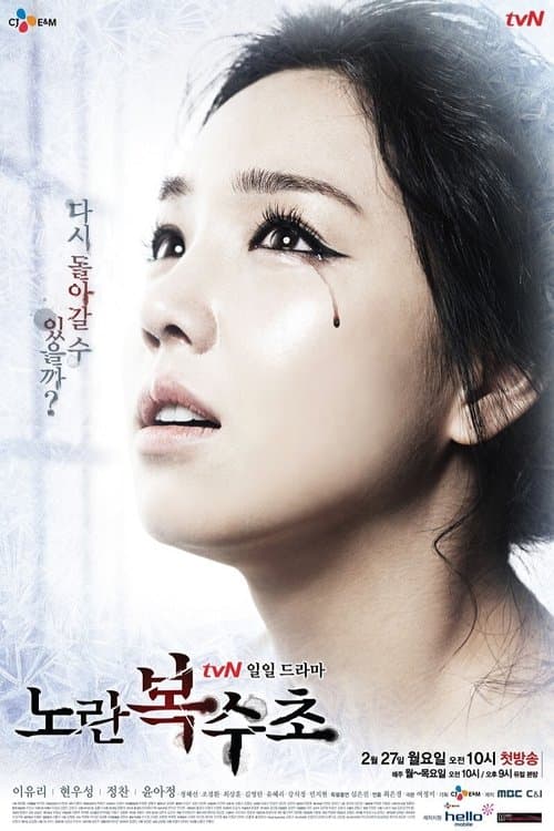 노란 복수초 afişi