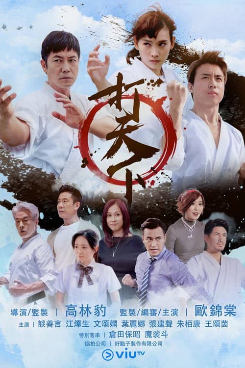 打天下‬ afişi
