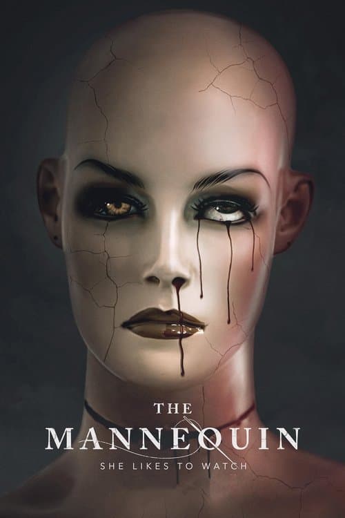 The Mannequin afişi