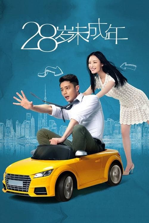 28岁未成年 afişi