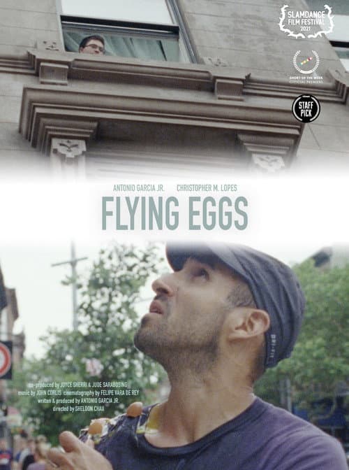 Flying Eggs afişi