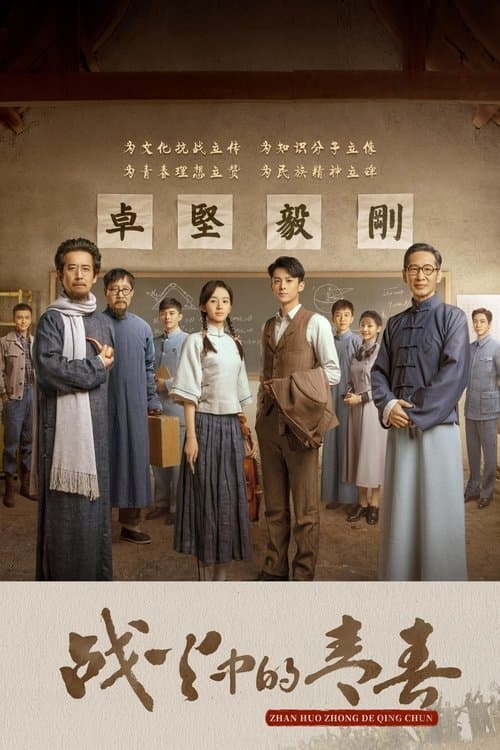 战火中的青春 afişi