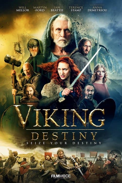 Viking Destiny afişi