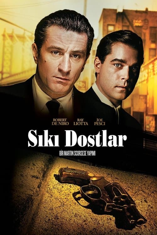 Sıkı Dostlar afişi