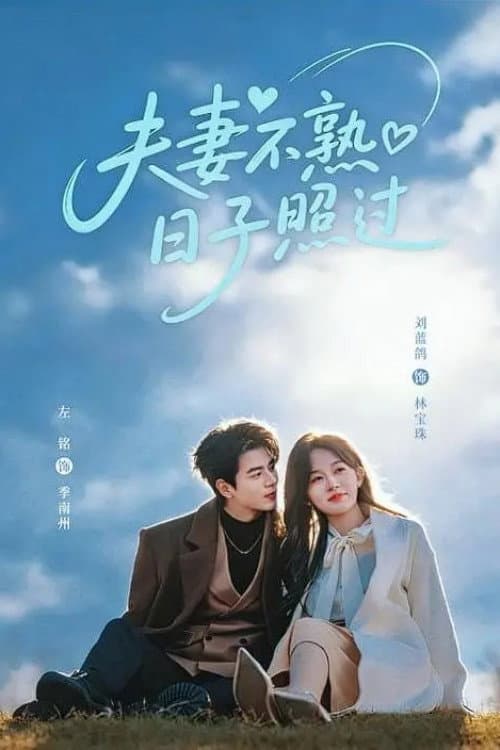 夫妻不熟，日子照过 afişi