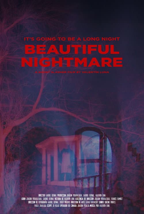 Beautiful Nightmare afişi