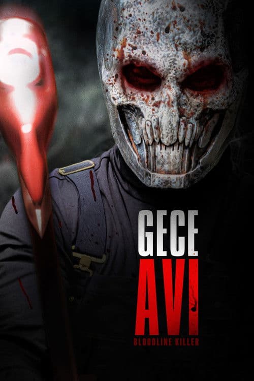 Gece Avı afişi