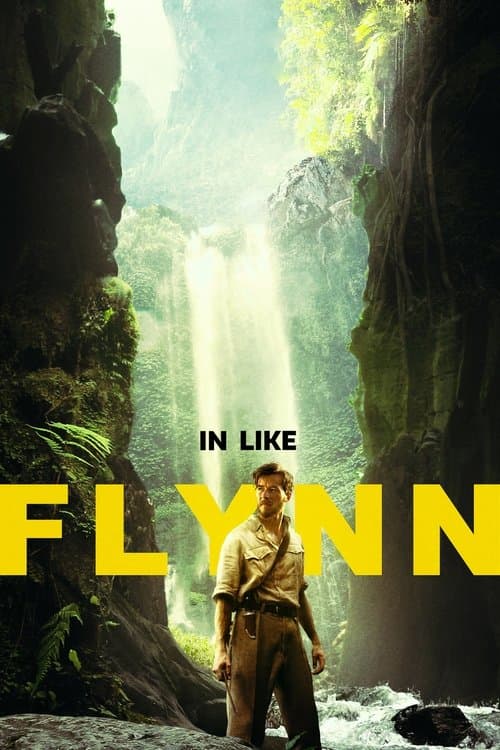 Errol Flynn'in Serüvenleri afişi