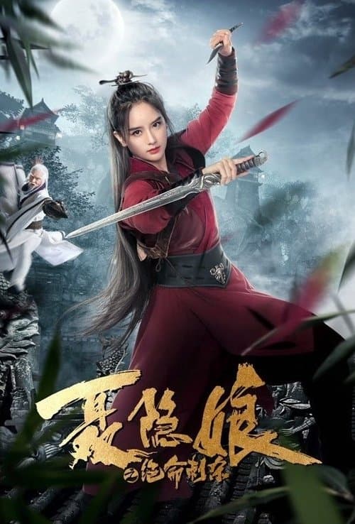 聂隐娘之绝命刺杀 afişi