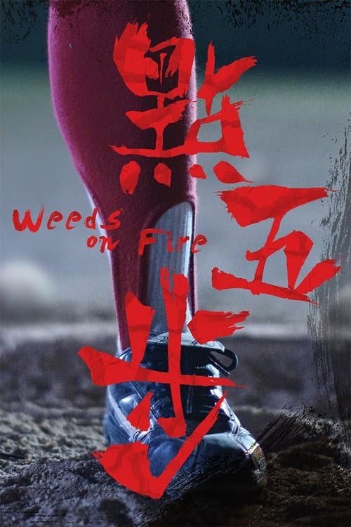 點五步 afişi