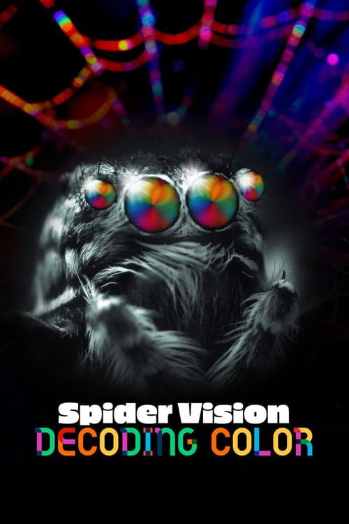 Spider Vision: Decoding Color afişi