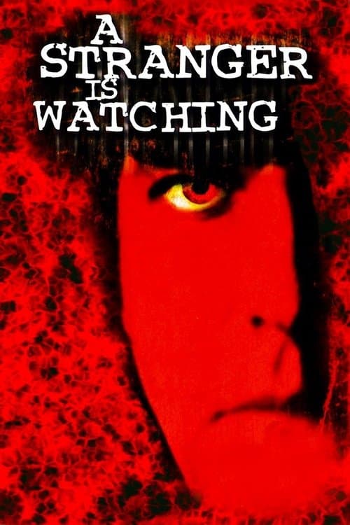 A Stranger Is Watching afişi