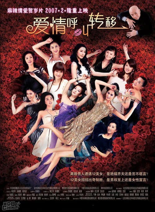 爱情呼叫转移 afişi