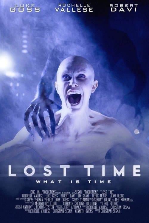 Lost Time afişi