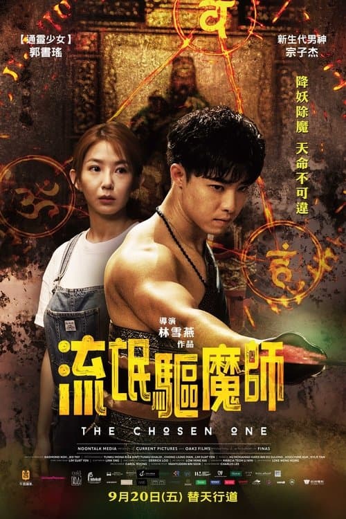 流氓驱魔师 afişi