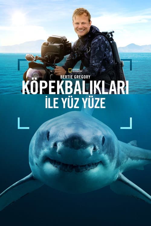 Bertie Gregory Köpekbalıkları ile Yüz Yüze afişi