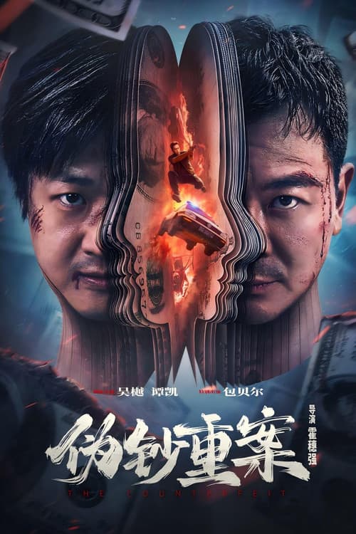 伪钞重案 afişi