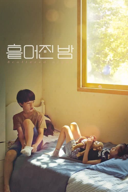 흩어진 밤 afişi