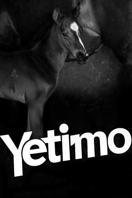 Yetimo afişi