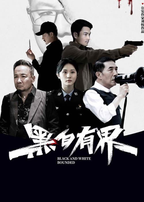 黑白有界 afişi