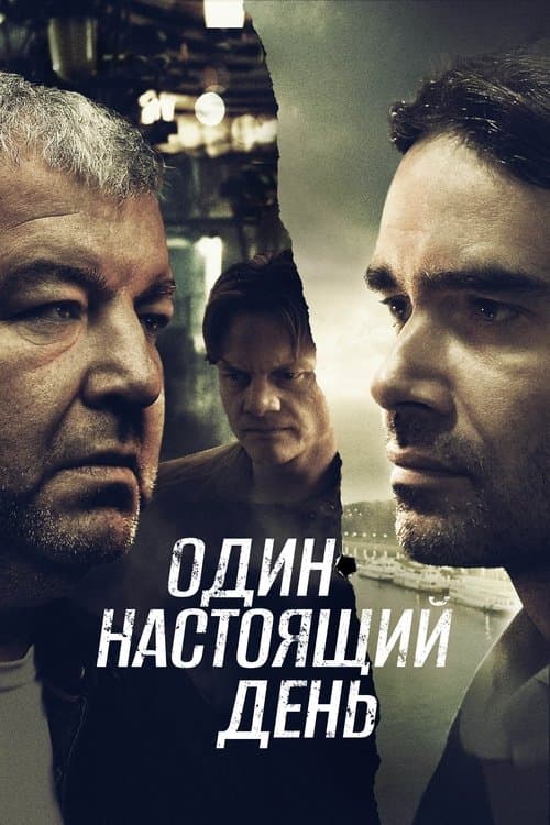 Один настоящий день afişi