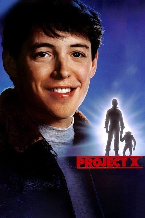 Project X afişi