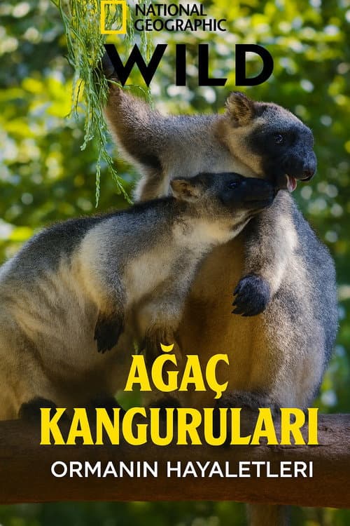Ağaç Kanguruları: Ormanın Hayaletleri afişi