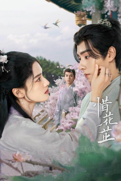 惜花芷 afişi