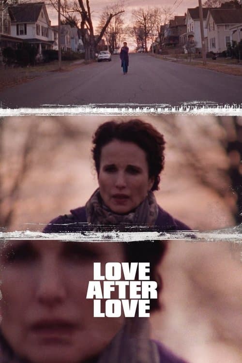 Love After Love afişi