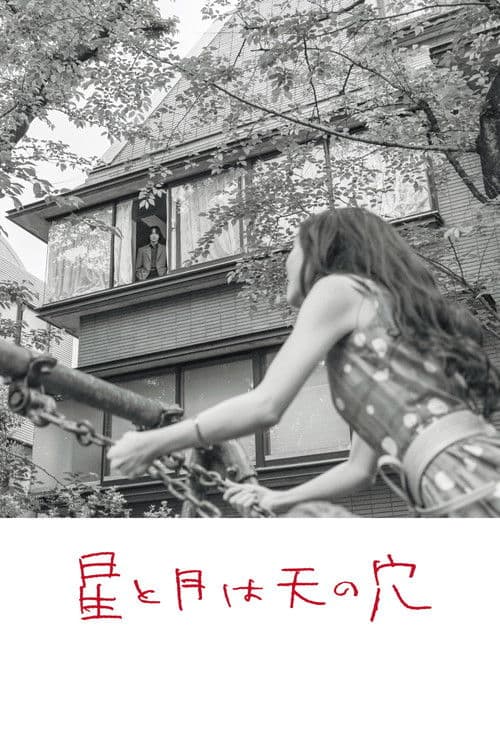 星と月は天の穴 afişi