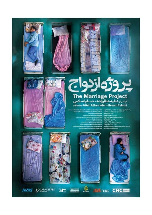 The Marriage Project afişi