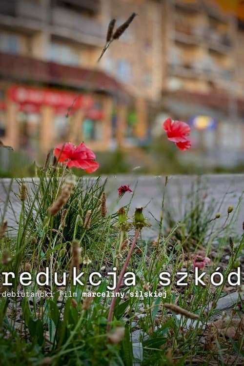 Redukcja szkód afişi
