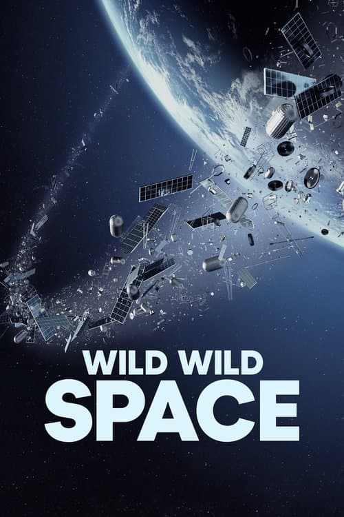 Wild Wild Space afişi