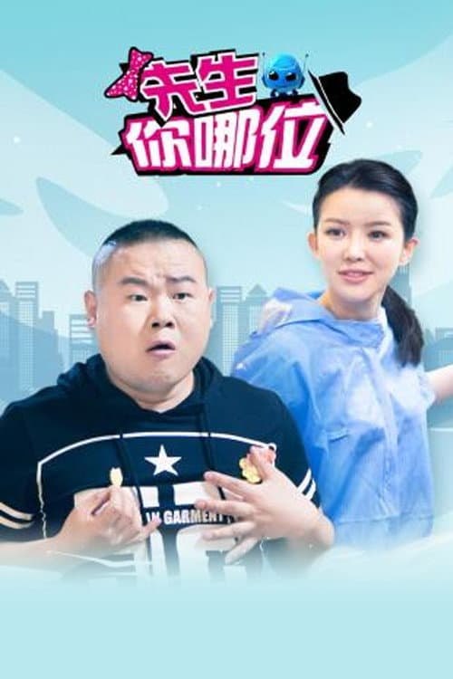 先生，你哪位 afişi