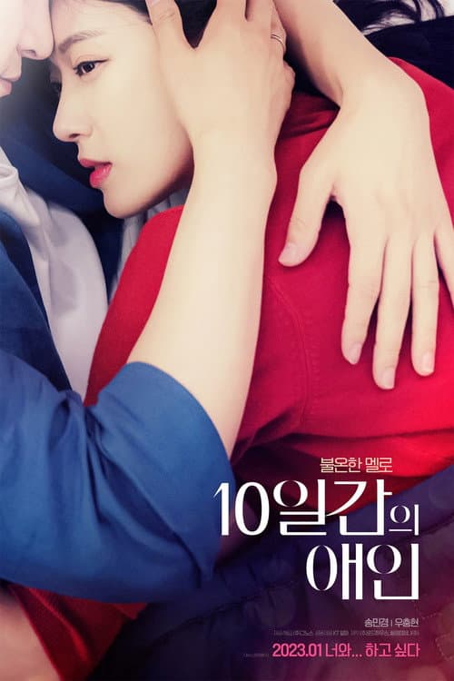 10일간의 애인 afişi