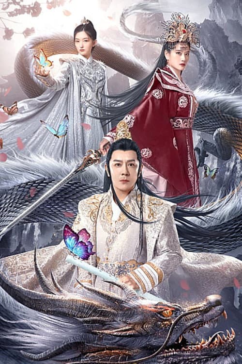 大理风云之血蝴蝶 afişi