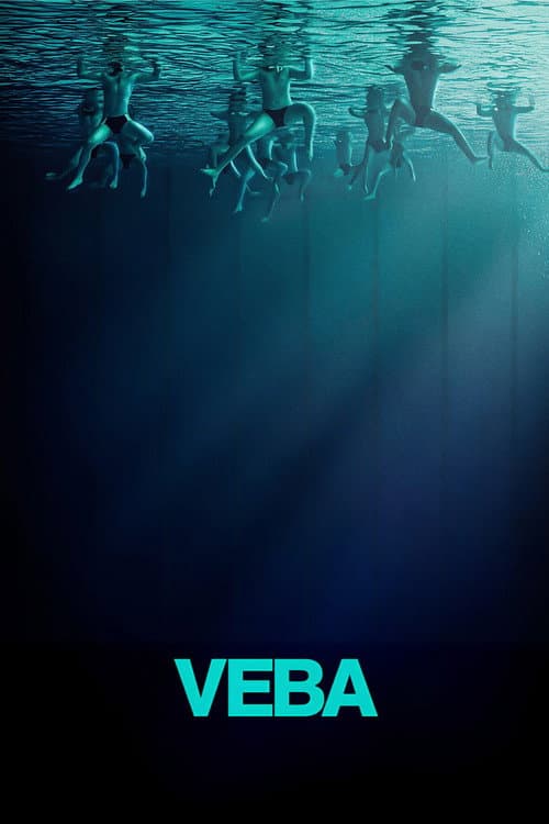 Veba afişi