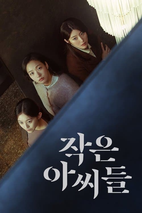 Little Women afişi