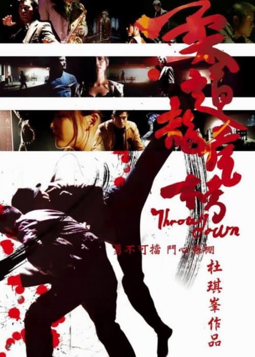 柔道龍虎榜 afişi