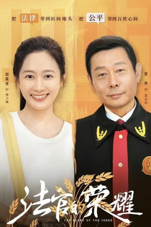 法官的荣耀 afişi