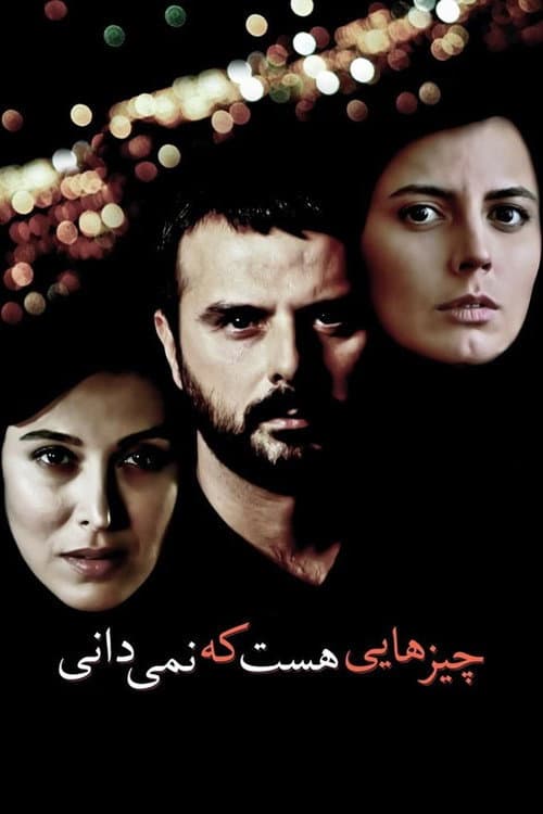 چیزهایی هست که نمی‌دانی afişi