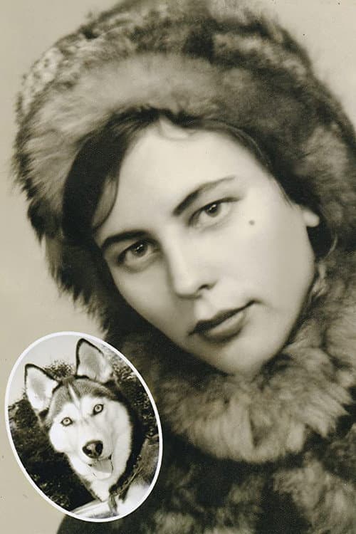 Revza afişi