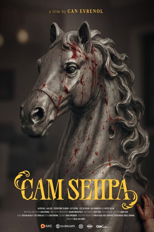 Cam Sehpa afişi
