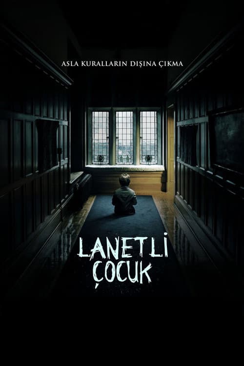 Lanetli Çocuk afişi
