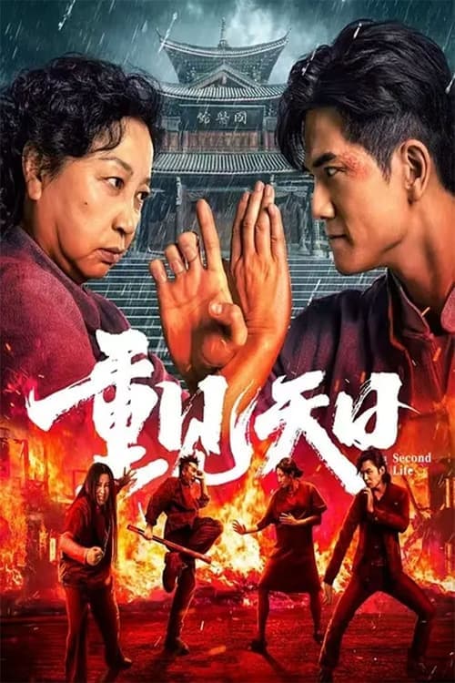 重见天日 afişi